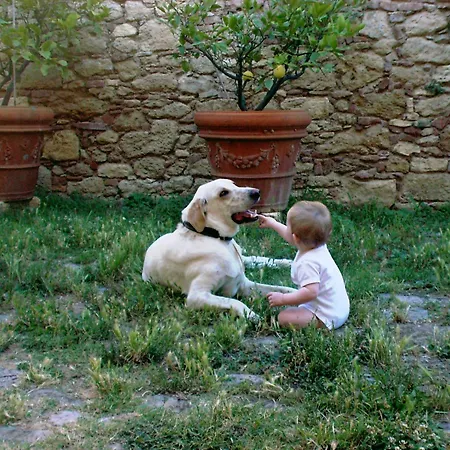 Podere Spedalone-3